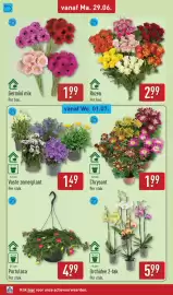 ALDI folder week 27 Pagina 32