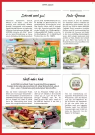 Kastner Flugblatt Seite 17