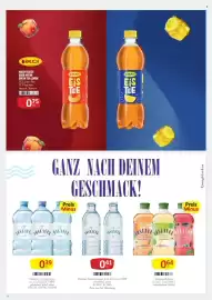 Kastner Flugblatt Seite 21