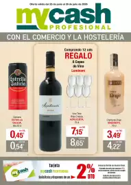Folleto mycash profesional Página 1