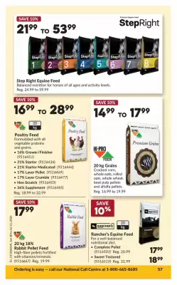 Princess Auto flyer