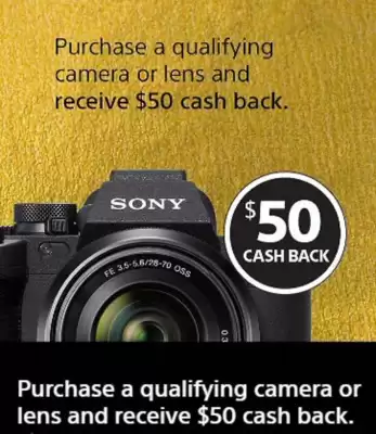 Sony (valid until 8-07)