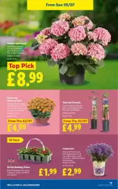 Lidl leaflet week 27 Page 21