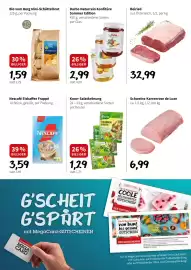Der Grissemann Flugblatt Seite 5