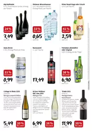 Der Grissemann Flugblatt Seite 8