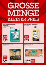 Der Grissemann Flugblatt Seite 9