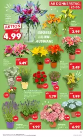 Kaufland DE tilbudsavis uge 26 Side 5