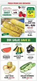 Stew Leonard's flyer week 26 Page 1