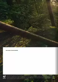 Catálogo Stihl Página 155