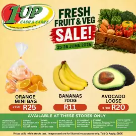 1UP catalogue Page 5
