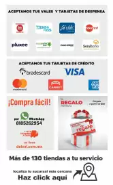 Folleto DelSol Página 38