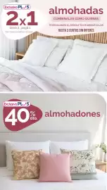 Catálogo La Anonima Página 22
