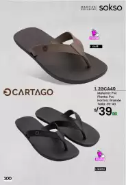 Catálogo Sokso Página 100