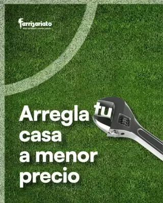 Catálogo Ferrisariato (válido hasta 7-07)