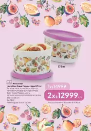 Folleto Tupperware Página 20