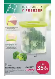 Folleto Tupperware Página 43