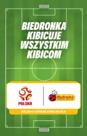 Biedronka gazetka Strona 5