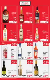 Catalog Selgros Pagină 17