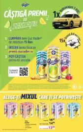 Catalog Selgros Pagină 19