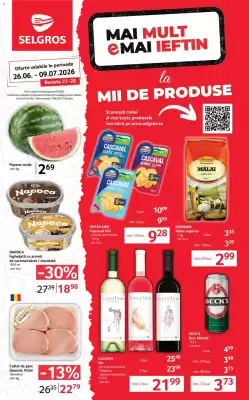Catalog Selgros (valid până la 9-07)