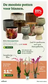 Welkoop folder Pagina 16