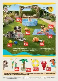 Catalogue Animalis page 8