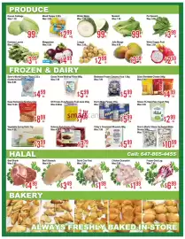Skyland Foodmart flyer week 26 Page 3