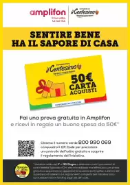 Volantino Il Centesimo Pagina 13