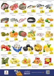 Nesto catalogue Page 4