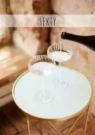 Jip leták Strana 45