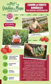 Catalog Mega Image săptămâna 27 Pagină 7