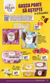 Catalog Mega Image săptămâna 27 Pagină 9