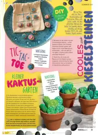 Norma Magazin Seite 19