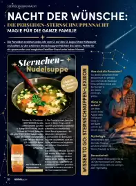 Norma Magazin Seite 20