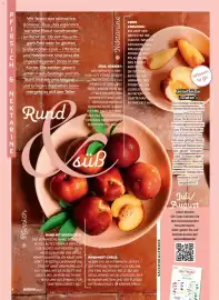 Norma Magazin Seite 4