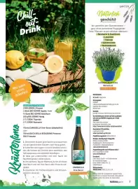 Norma Magazin Seite 7
