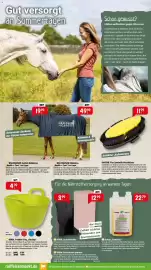 Raiffeisen Markt Prospekt Seite 7