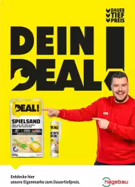 Hagebau Prospekt woche 26 Seite 17