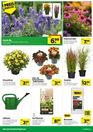 Hagebau Prospekt woche 26 Seite 2