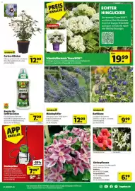 Hagebau Prospekt woche 26 Seite 3