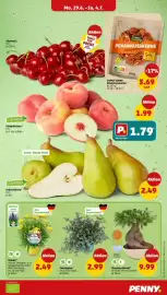PENNY Prospekt woche 27 Seite 3