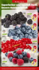 PENNY Prospekt woche 27 Seite 4