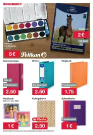 Woolworth Prospekt Seite 12