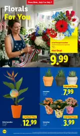 Lidl weekly ad week 27 Page 34