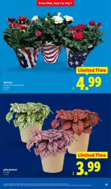 Lidl weekly ad week 27 Page 35