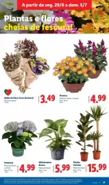 Folheto Lidl semana 27 Página 31