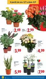 Folheto Lidl semana 27 Página 32