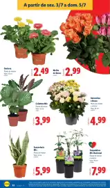 Folheto Lidl semana 27 Página 32