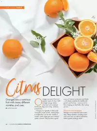 Costco catalogue Page 62