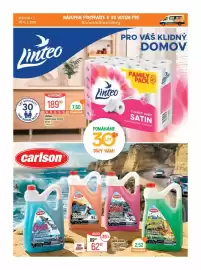 Globus leták týden 27 Strana 22